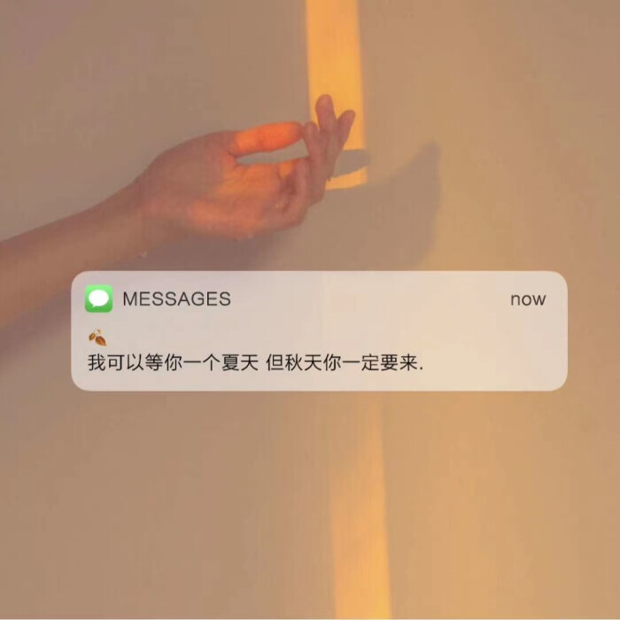 超小众有质感的文字背景图