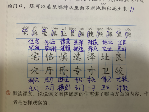 小学语文《蟋蟀的住宅》,跟随老师笔记,学习课文重要知识点!