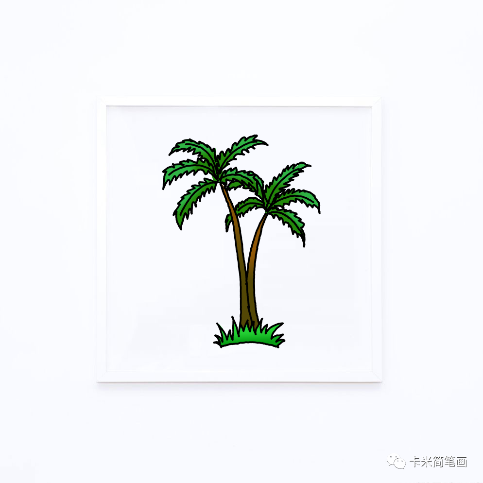 如何画棕榈树-简单的棕榈树简笔画教程