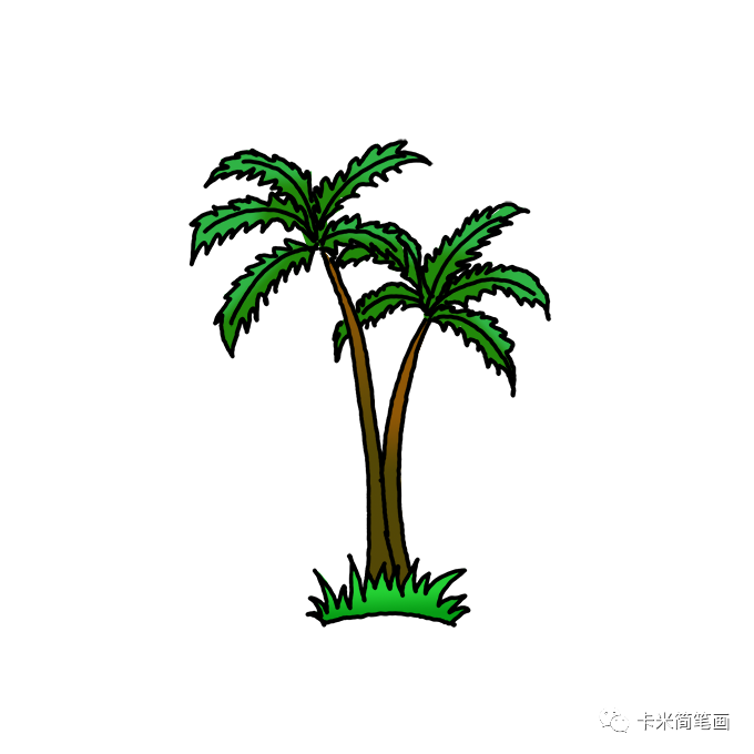 如何画棕榈树-简单的棕榈树简笔画教程