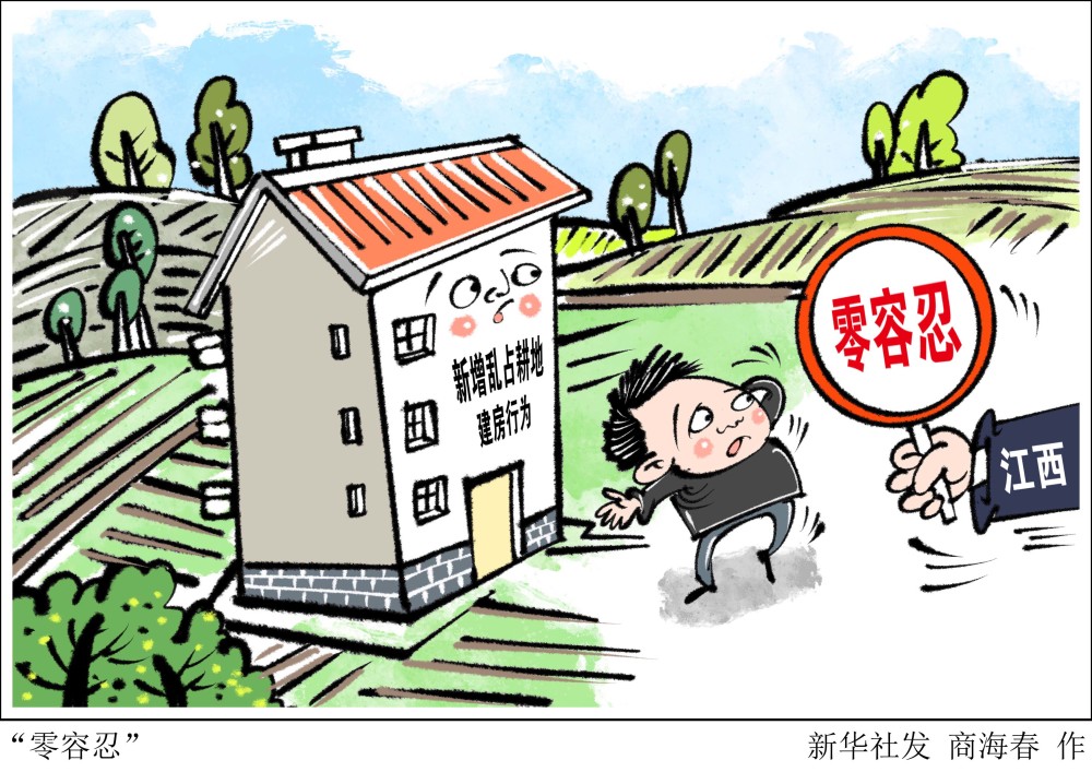 (图表·漫画【法治"零容忍"