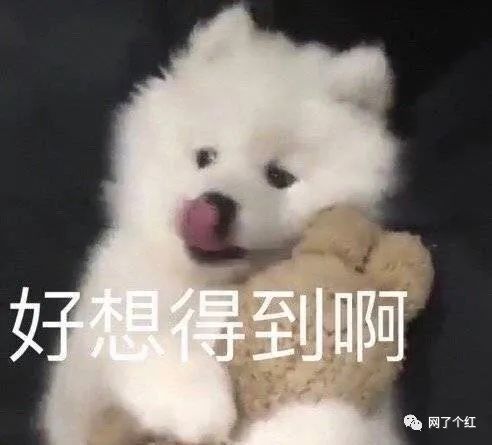 "人类幼崽沙雕快乐大赏!"彻底沦陷了哈哈哈哈哈