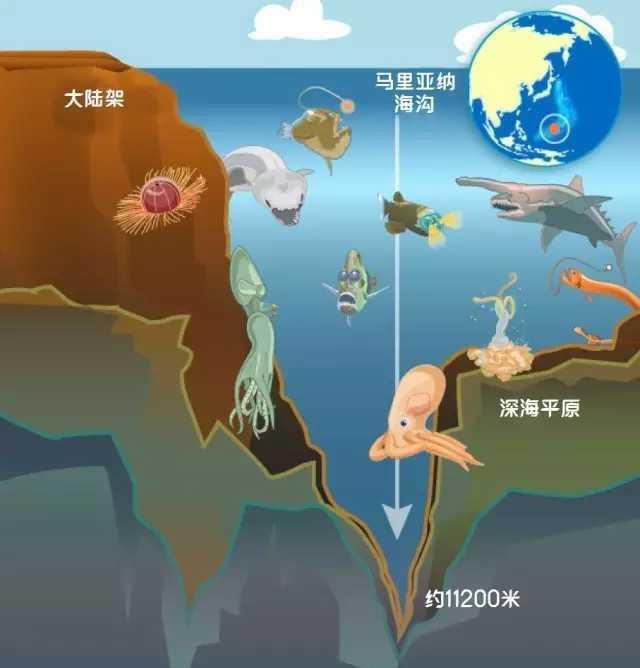 马里亚纳海沟深入地心了吗科学家发现了什么令人害怕的东西