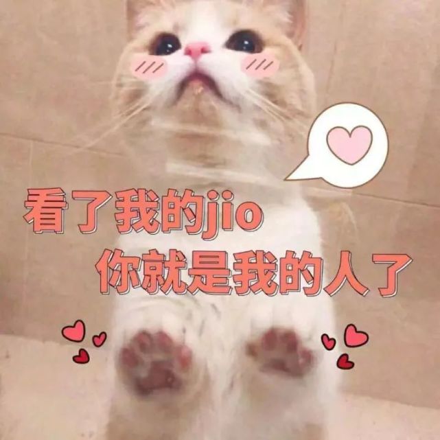 哄女朋友的表情包,兄弟们赶紧收藏保命!