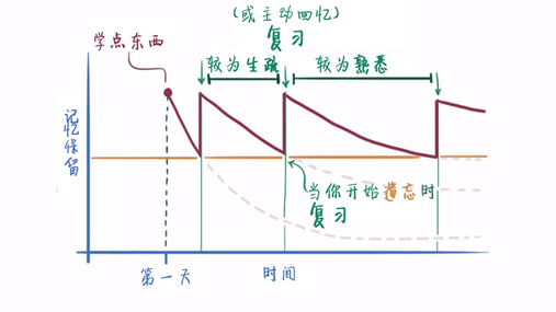 新学高考:艾宾浩斯遗忘曲线理论在我校高三学生复习中的运用