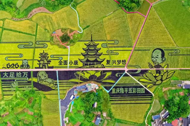 六万人国庆打卡,大足隆平五彩田园热度持续升温
