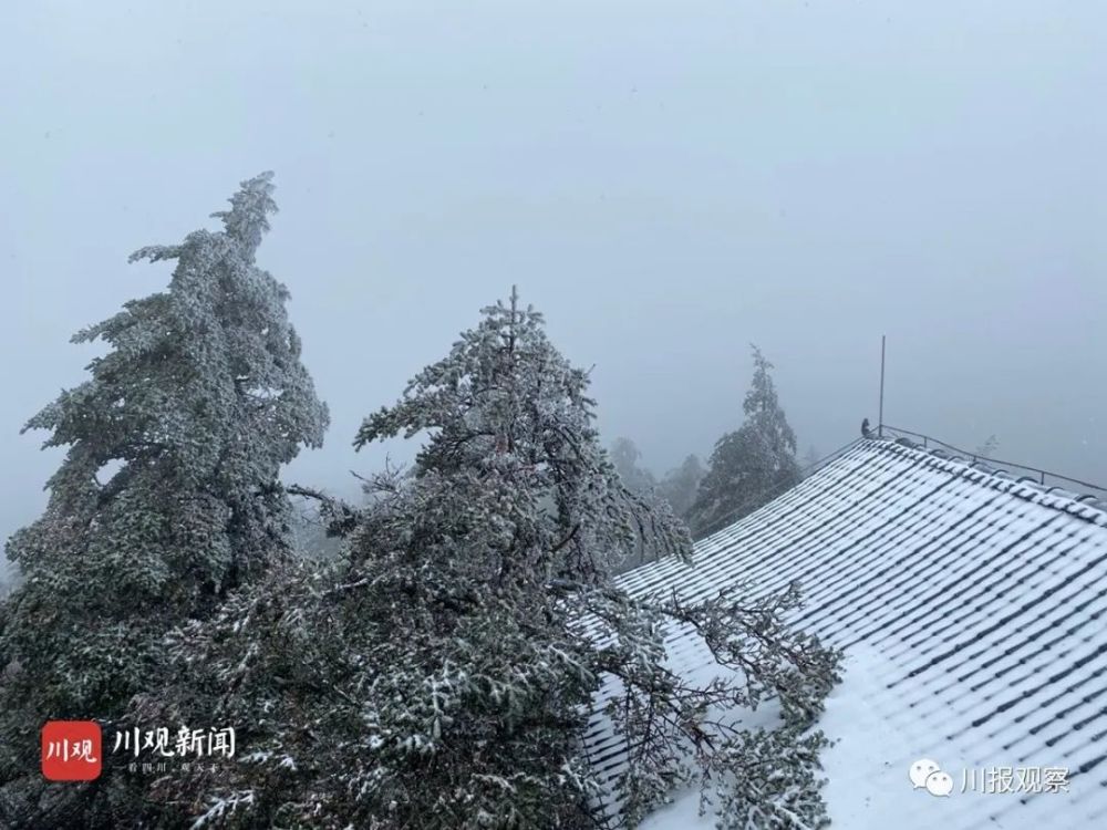 随着气温直线下降 四川多地 下 雪 啦 西岭雪山 10月16日 大坪霁雪与