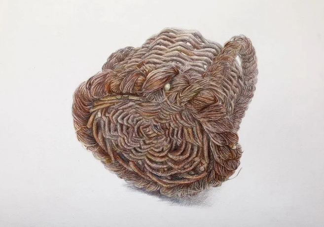 鲁美附中pk央美精微素描,谁的精微素描画得更吸引你?_腾讯新闻