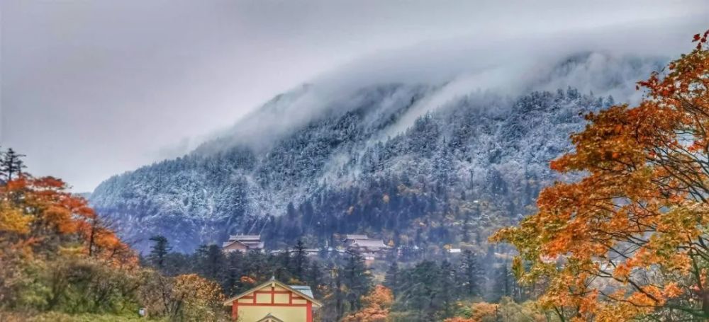 金秋十月,浪漫秋色,峨眉山迎来今秋的第一场雪