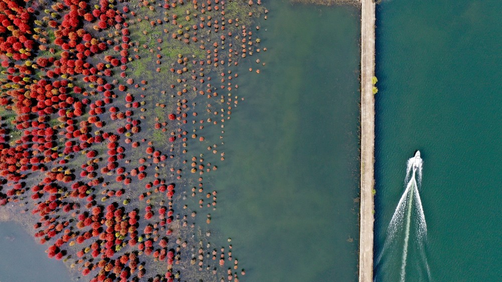 2021台州各县市gdp_台州地图(2)