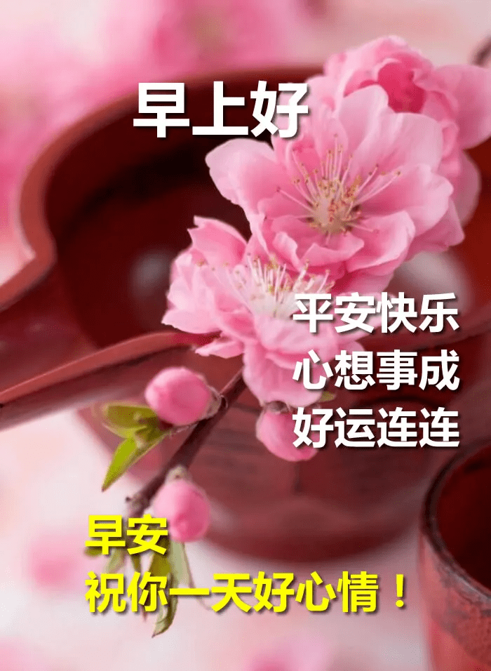 最美早安问候图片鲜花带字 最新早上好问候语图片带字