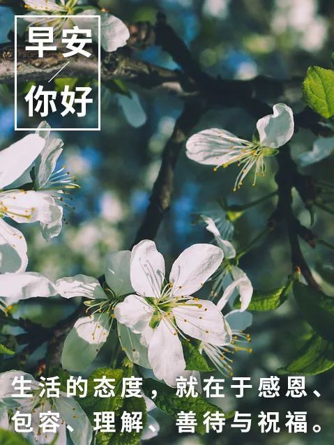 早安你好图片大全 早安心语一句话