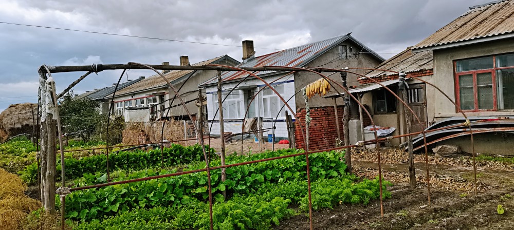 真实记录现在的东北农村生活,现在村屯房屋建筑是什么样