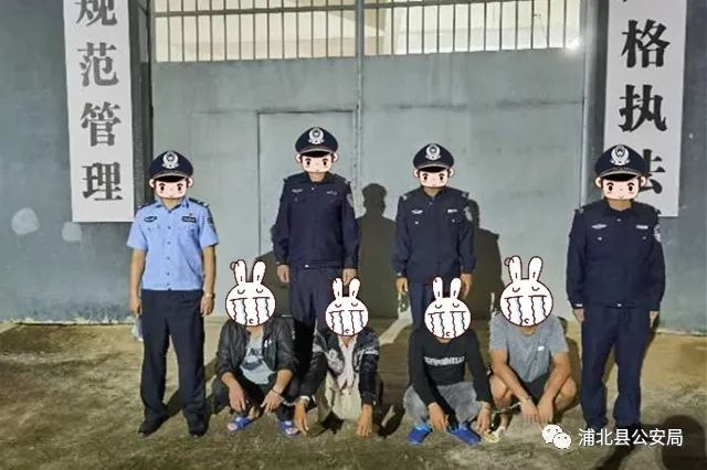 浦北:当街打架斗殴的4人被行拘了!