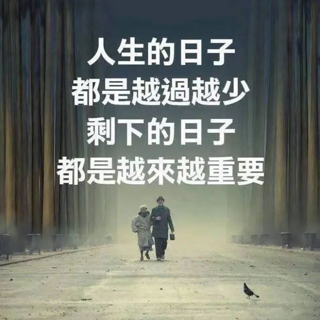 一切过不去的心情,睡一觉就好; 所有放不下的感情,给自己开导.