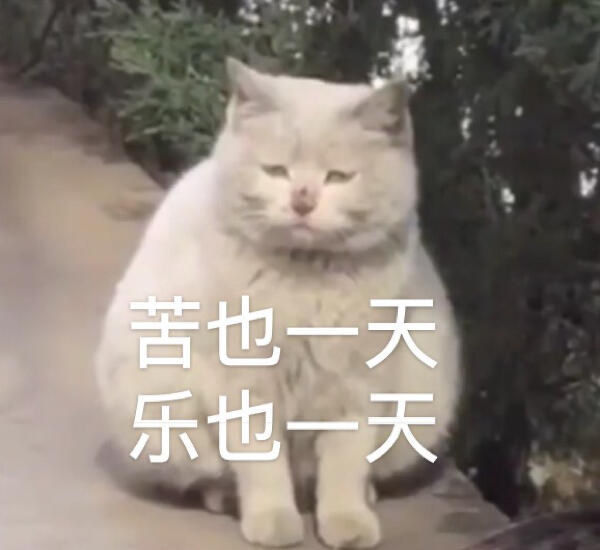 沙雕表情包 早上好