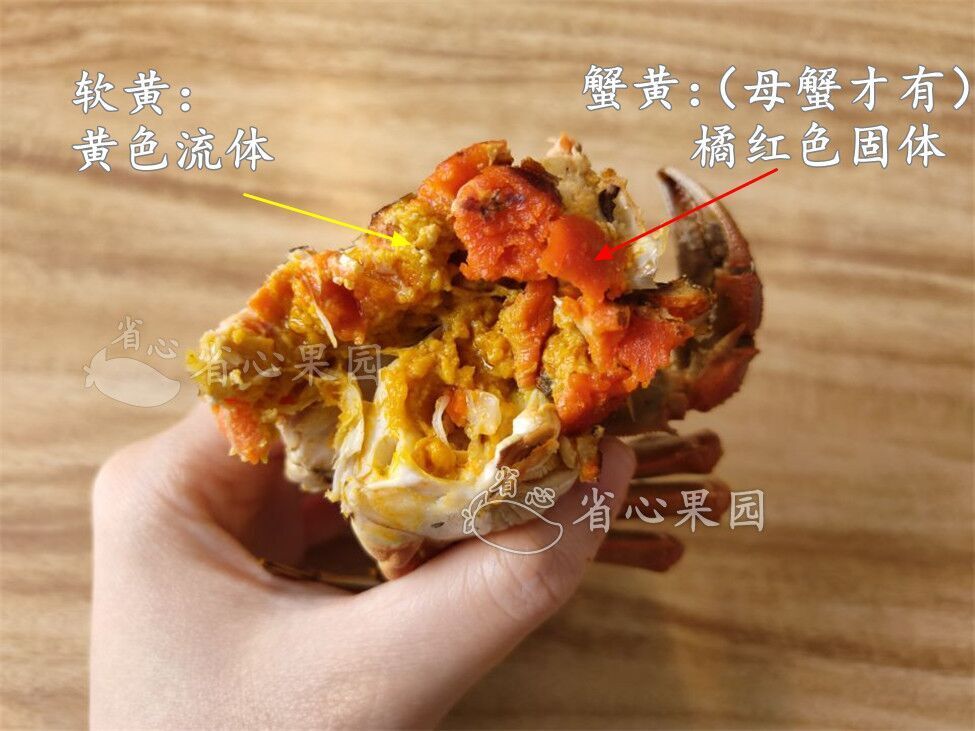 即使不是阳澄湖的,但是蟹肉味道鲜甜,并且有很多蟹黄,蟹膏,那也是 好