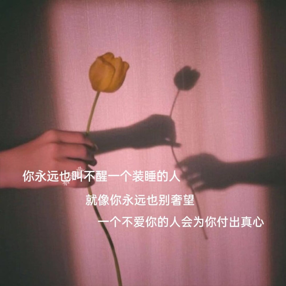 文字背景图 你永远叫不醒一个装睡的人