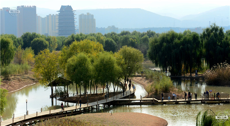 10月18日,市民在兰州市安宁银滩湿地公园游览观赏秋景.