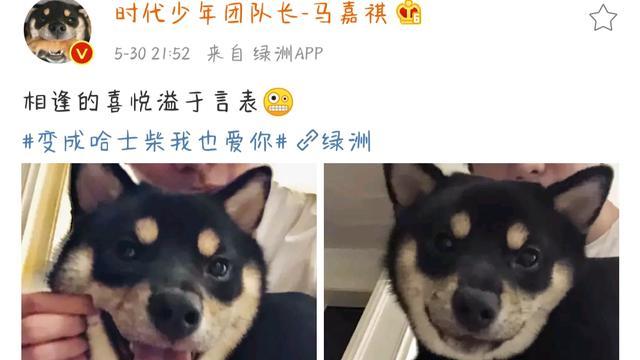 马嘉祺想自己"儿子,哥哥发给他一张表情包,这哥俩这么搞笑?_腾讯新闻