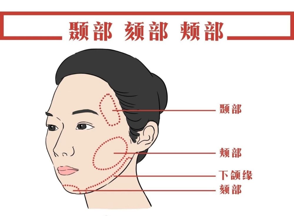 颊部网格化分区与脂肪移植