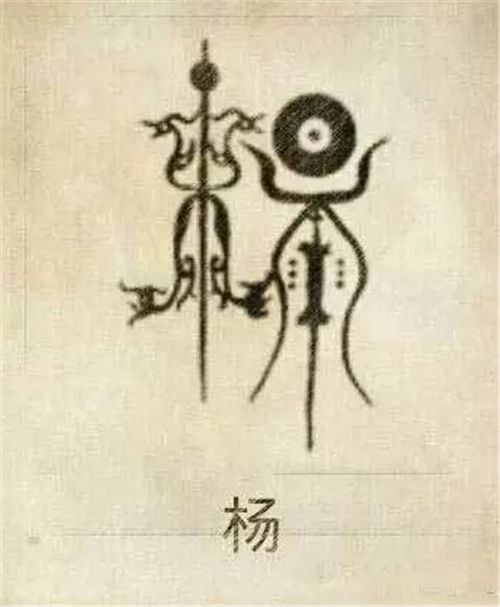 癸卯年生人：探寻金箔金命的独特魅力与命运轨迹（癸卯年生人属什么命）