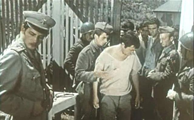 《初春》:阿尔巴尼亚少见的一部彩色电影,最后一批进入我国