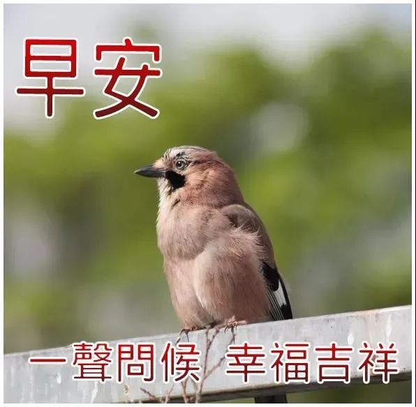 10月21日清晨早安问候动态表情图片 早上好祝福美图动态