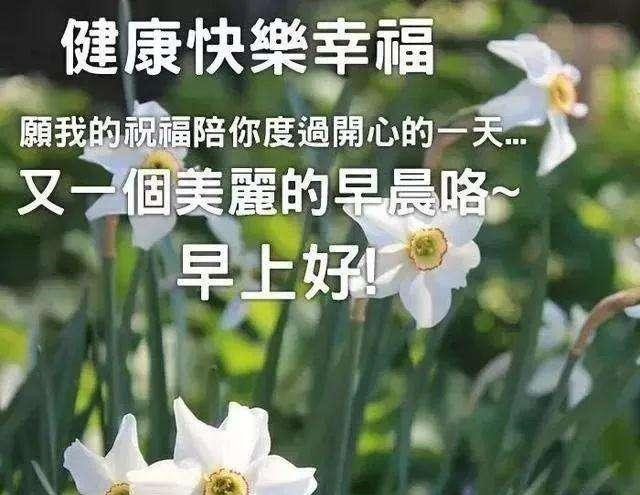周一清晨最暖心的早安祝福语短信早上好最美的问候表情图片