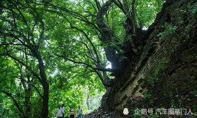 确山县人口 面积_确山县瓦岗镇张莉