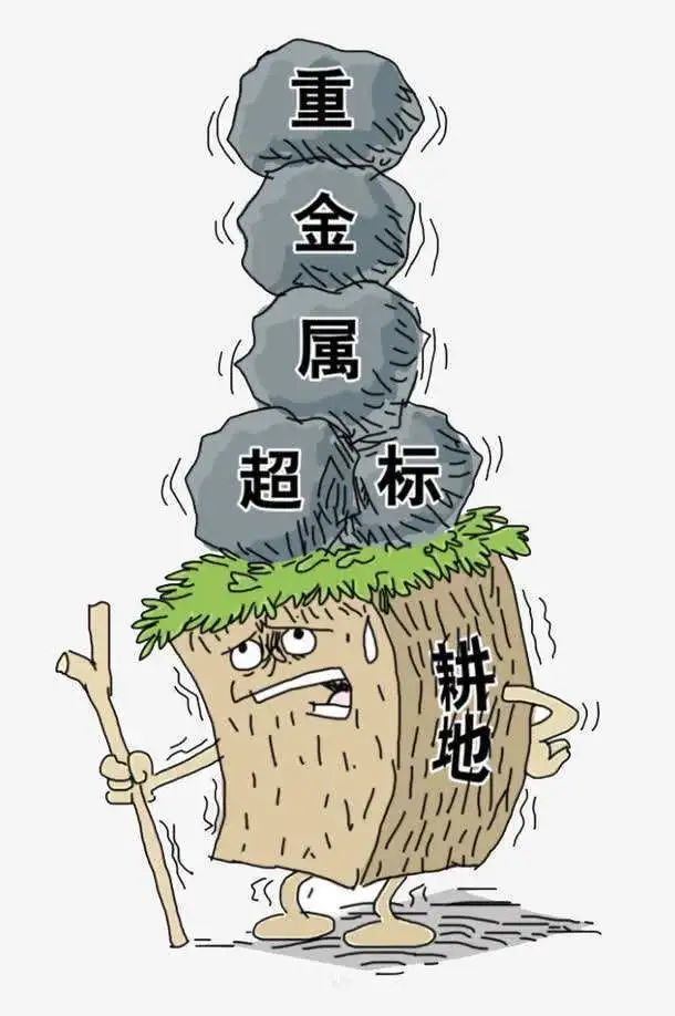 土壤重金属污染改良