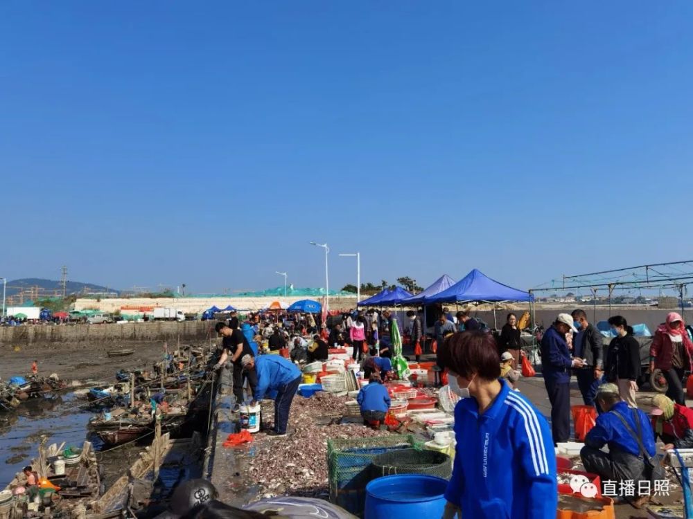 近日,直播日照小编在大泉沟渔港看到,来这里购买海鲜的市民,游客络绎