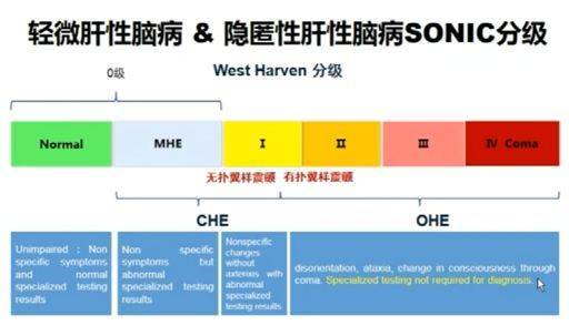 目前国际上多采用west haven分级来进行肝性脑病的定义,其中轻微肝性