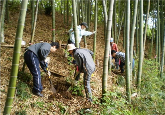 日本离奇神隐事件5岁女童挖笋突然人间蒸发15年来仍未破案