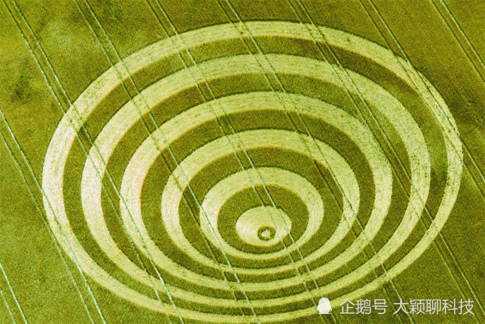 科学家破解麦田怪圈之谜却得到意外发现或与人类起源有关