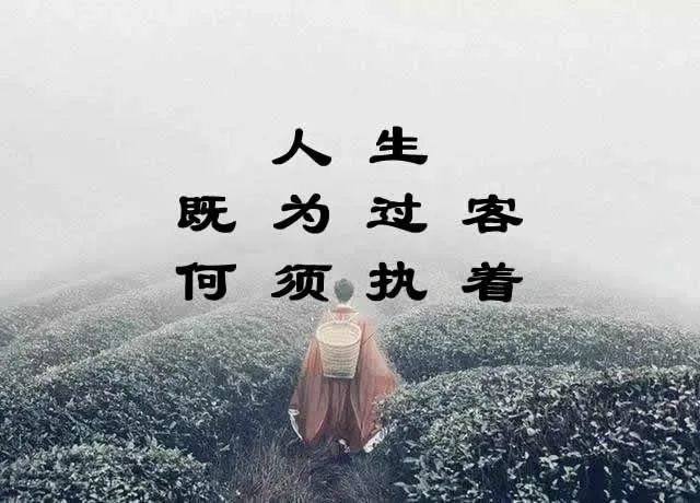 人生匆匆,岁月无情.你我,不过是这人世间,来去匆匆的过客.