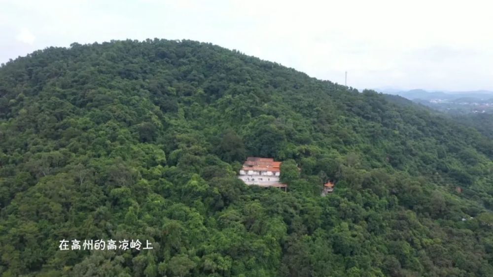 茂名最早的冼太庙你去过吗就在高州这个镇