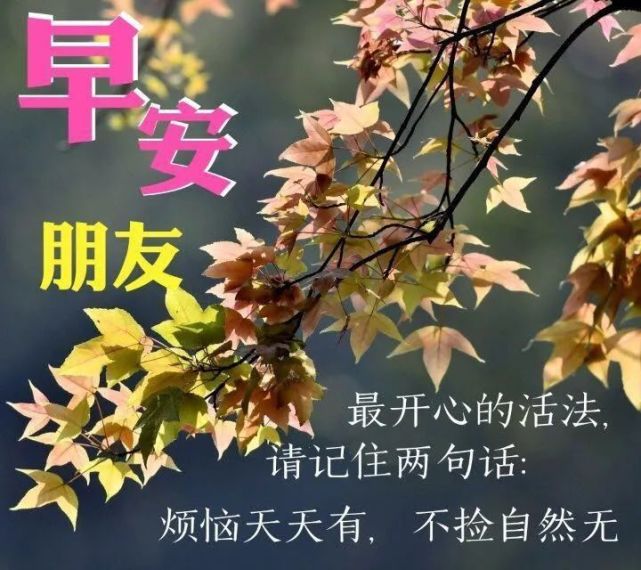 中老年表情包,聊天动态带字图片早上好祝福,身体好心情好,每天都是