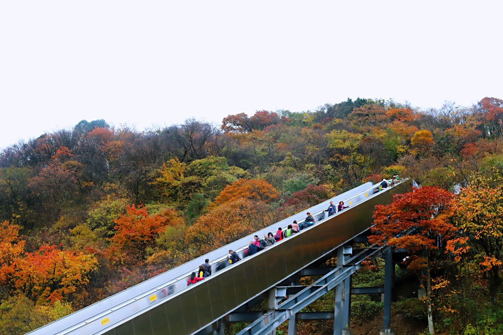 汉中龙头山最佳红叶观赏期已经到来!一步一景,游客满眼惊喜!