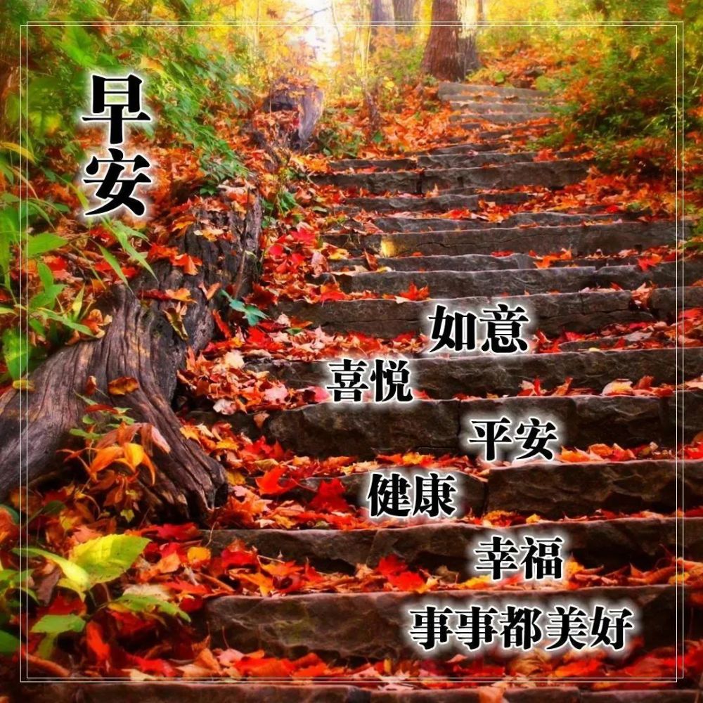 10月25日重阳节早上好问候大家最棒的祝福语录 早上好