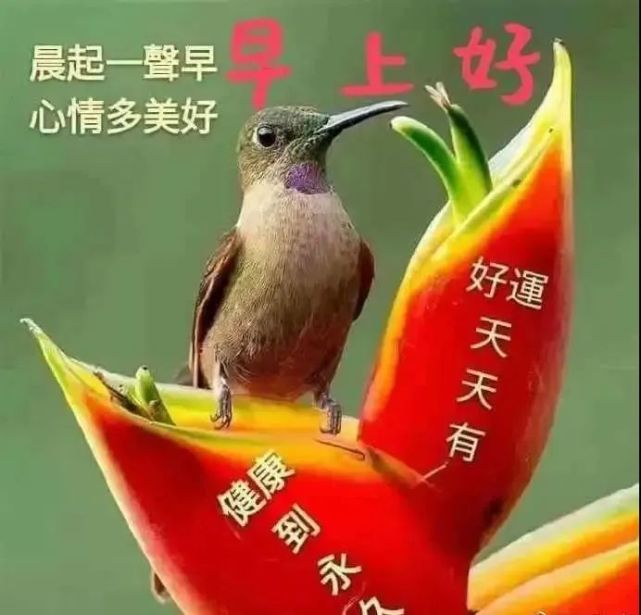8张最新微信早上好表情图片大全 温馨的早安祝福图片带字精选