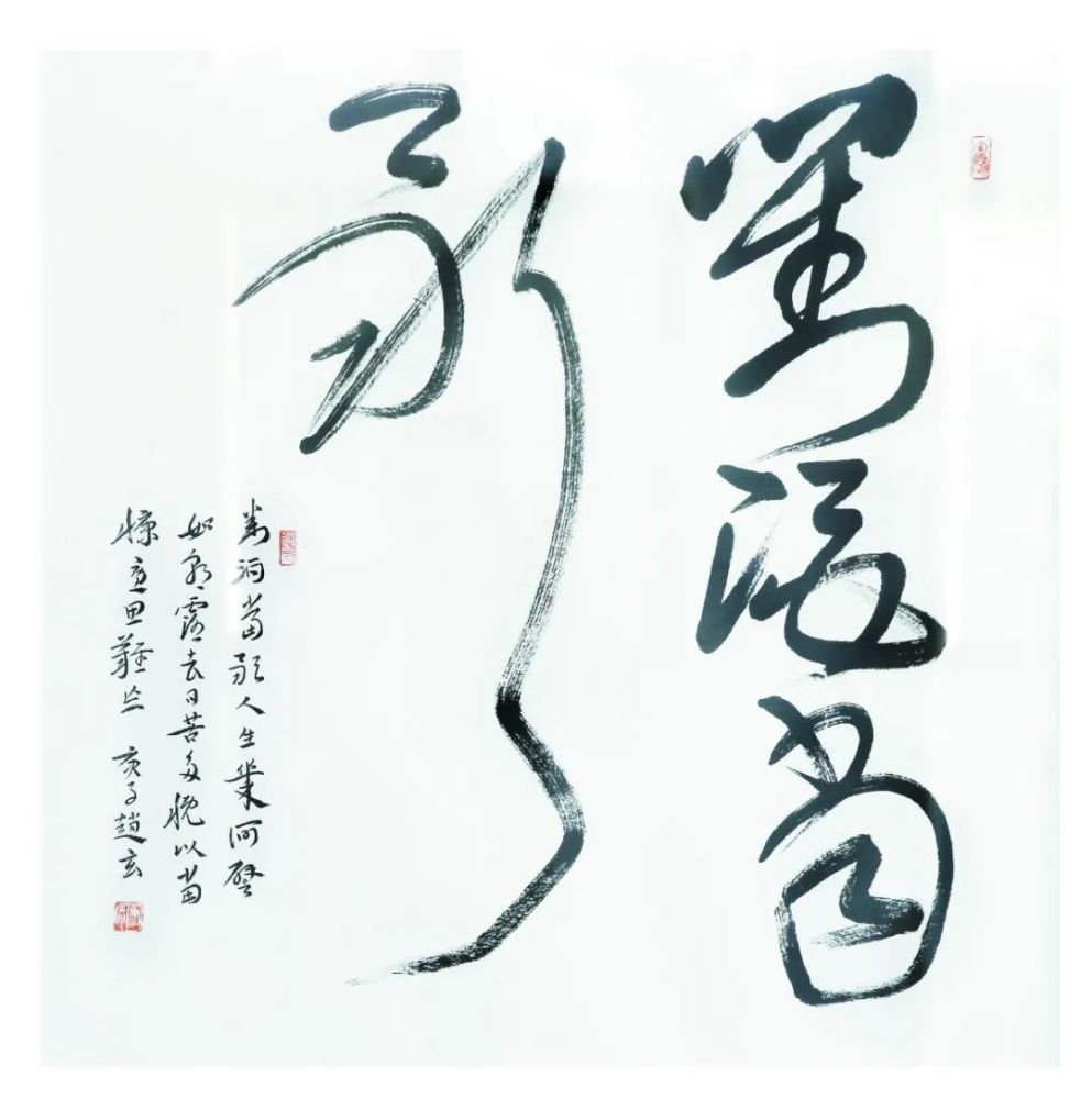 《对酒当歌》(书法) 赵玄