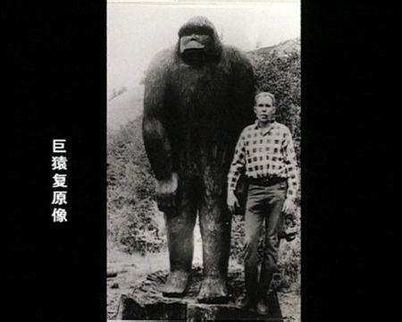 神农架发现可疑"毛发"!专家无法解释,野人真的存在吗?
