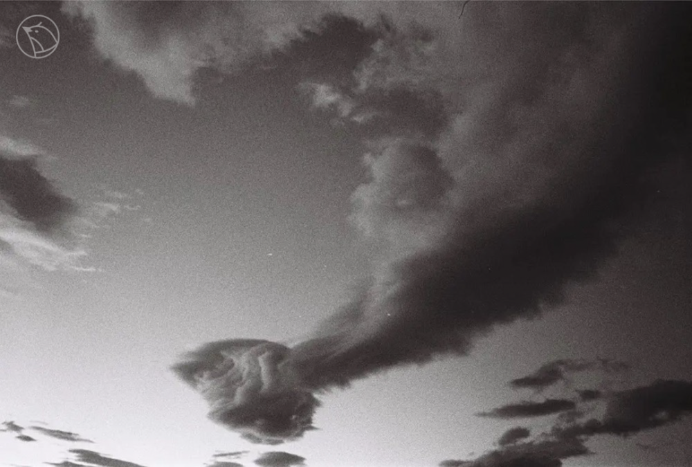 梦境迷雾，当旧情主动来寻，你却选择悄然离去的深层含义