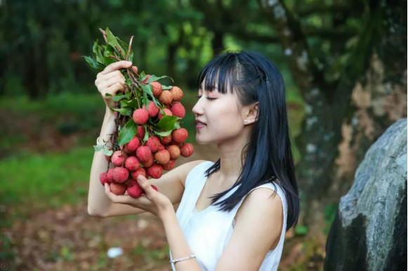 广州410年挂绿荔枝,明朝末年就已存在,曾拍出每颗55万的身价