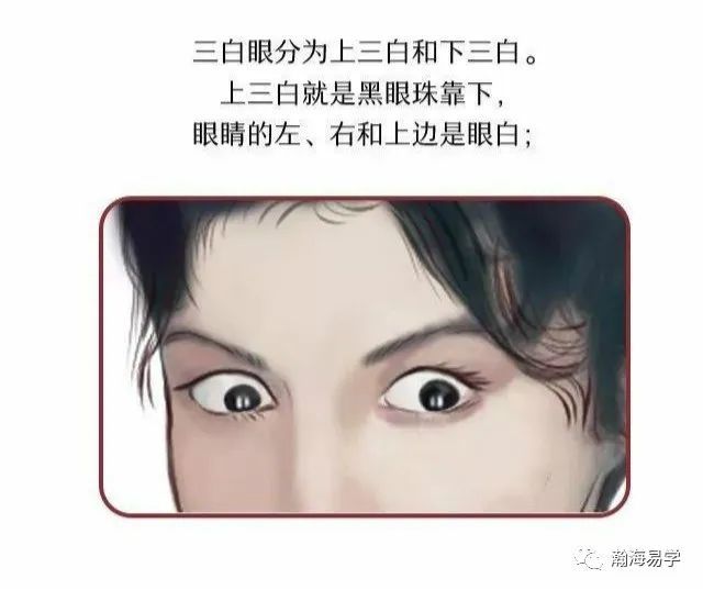 面相:三白眼的为人如何?