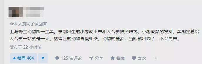 不仅仅是上海，今年国内发生多起熊吃人事件