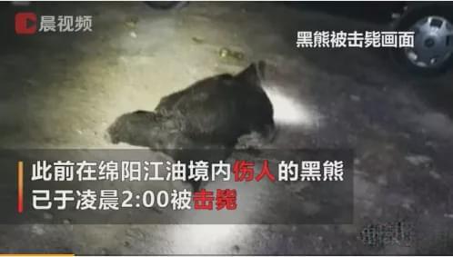 不仅仅是上海，今年国内发生多起熊吃人事件