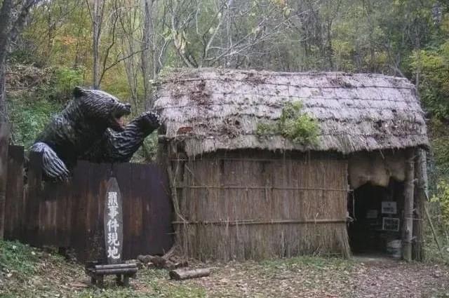 不仅仅是上海，今年国内发生多起熊吃人事件