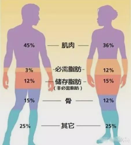 不仅仅是上海，今年国内发生多起熊吃人事件
